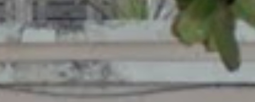 Calle Maribel 1506 speed lines detail