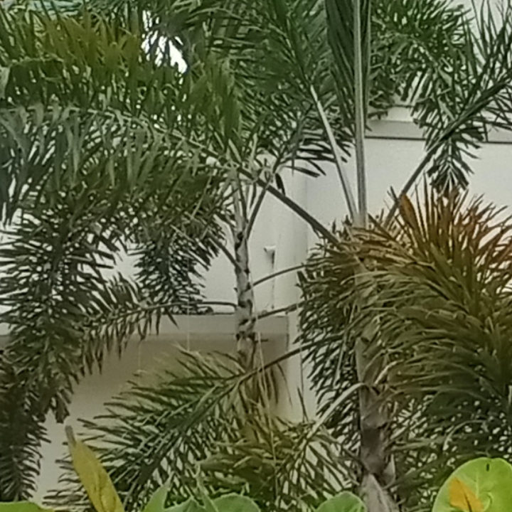 Detalle desague terraza rectangular